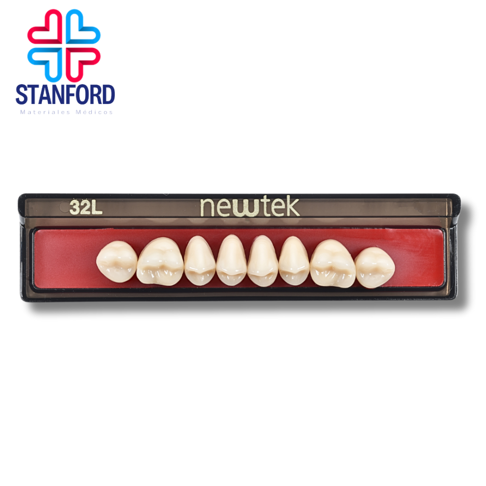 DIENTE MOLAR 32L SUPERIOR