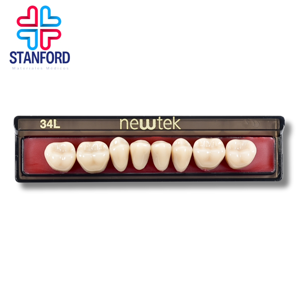 DIENTE MOLAR 34L INFERIOR