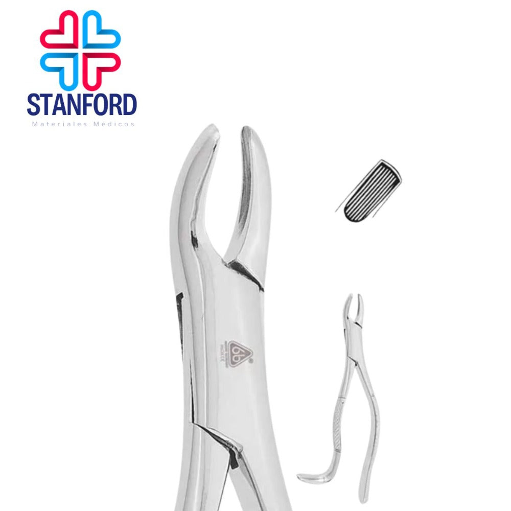 FORCEP ADULTO 24