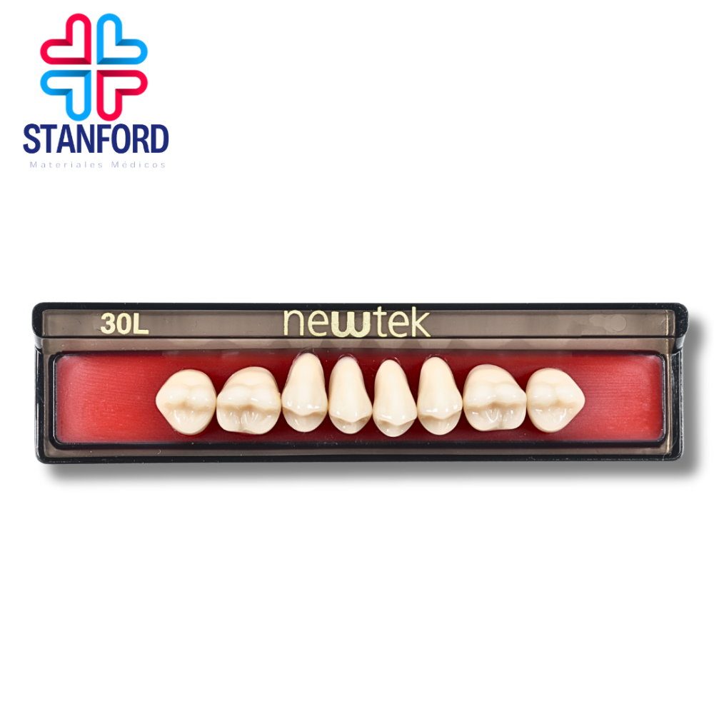 DIENTE 30L MOLAR SUPERIOR