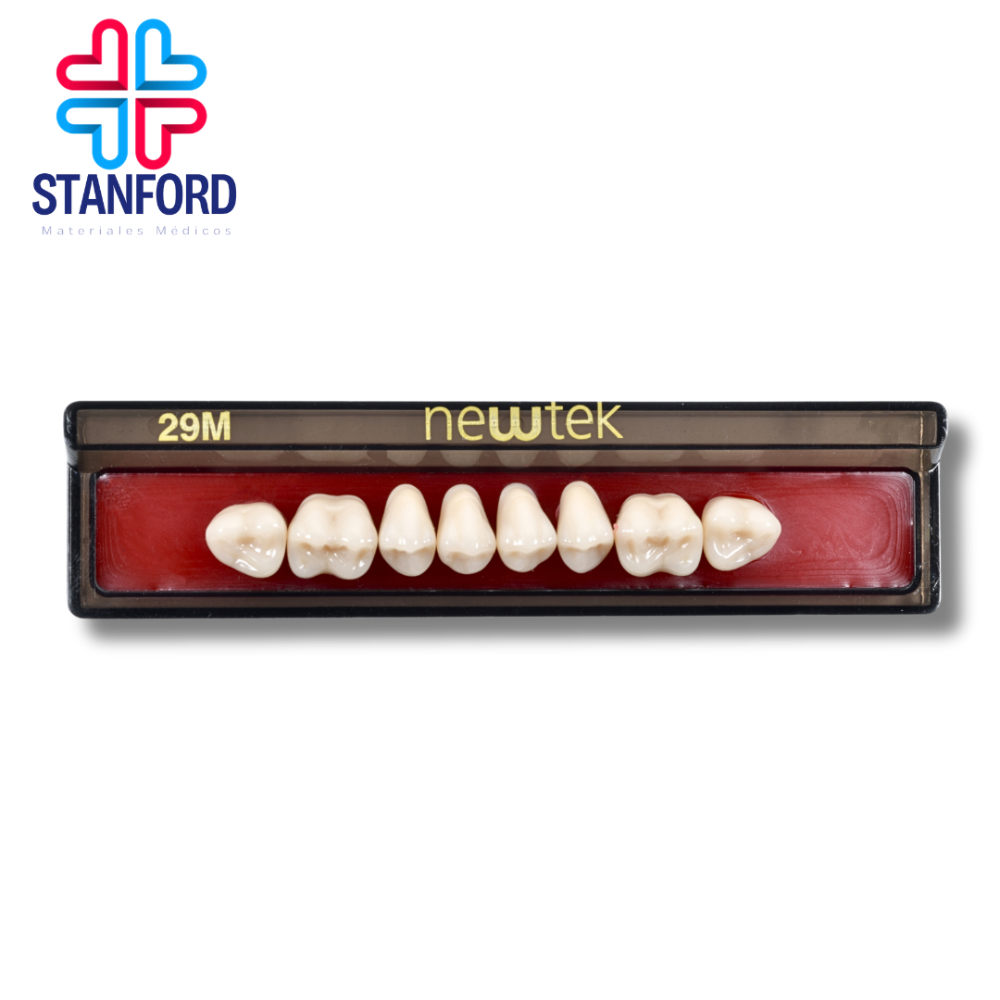 DIENTE MOLAR 29M SUPERIOR