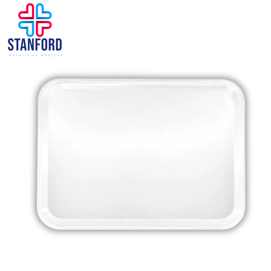 CHAROLA LISA PARA INSTRUMENTAL PLASTICO 24Lx25A cm