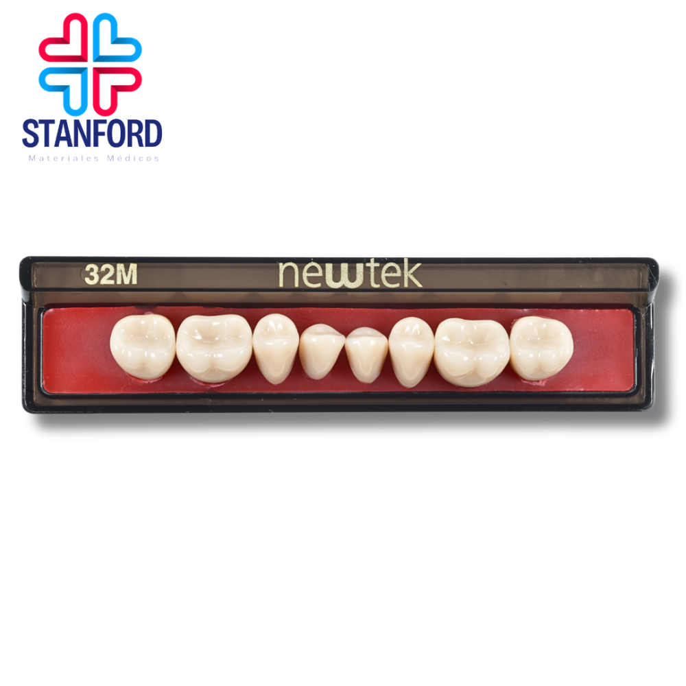 DIENTE MOLAR 32M INFERIOR