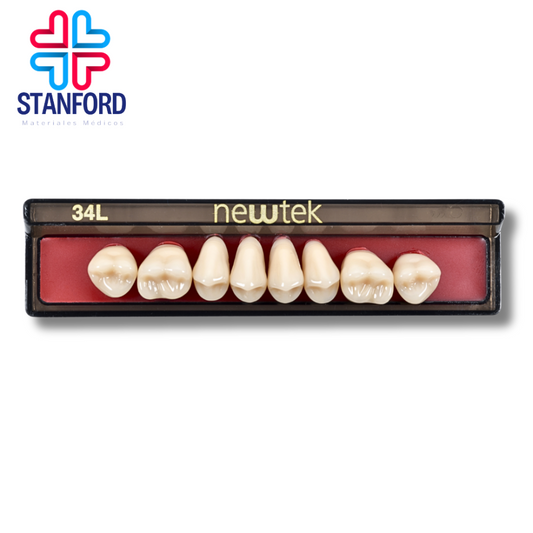 DIENTE MOLAR 34L SUPERIOR