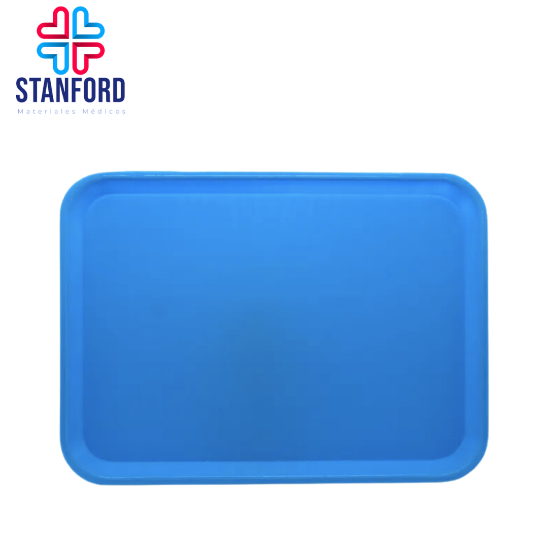 CHAROLA LISA PARA INSTRUMENTAL PLASTICO 24Lx25A cm