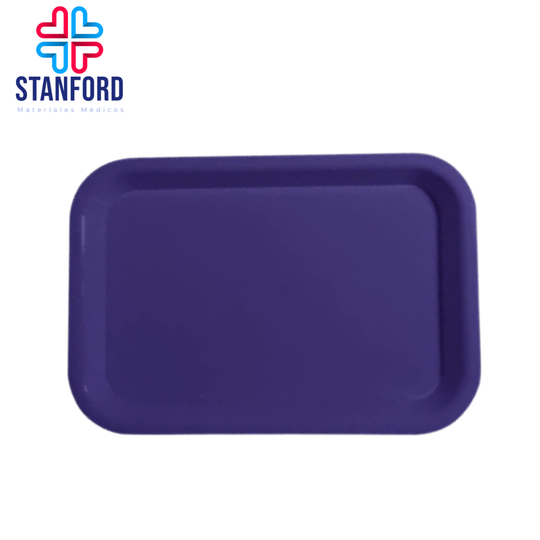 CHAROLA LISA PARA INSTRUMENTAL PLASTICO 24Lx25A cm