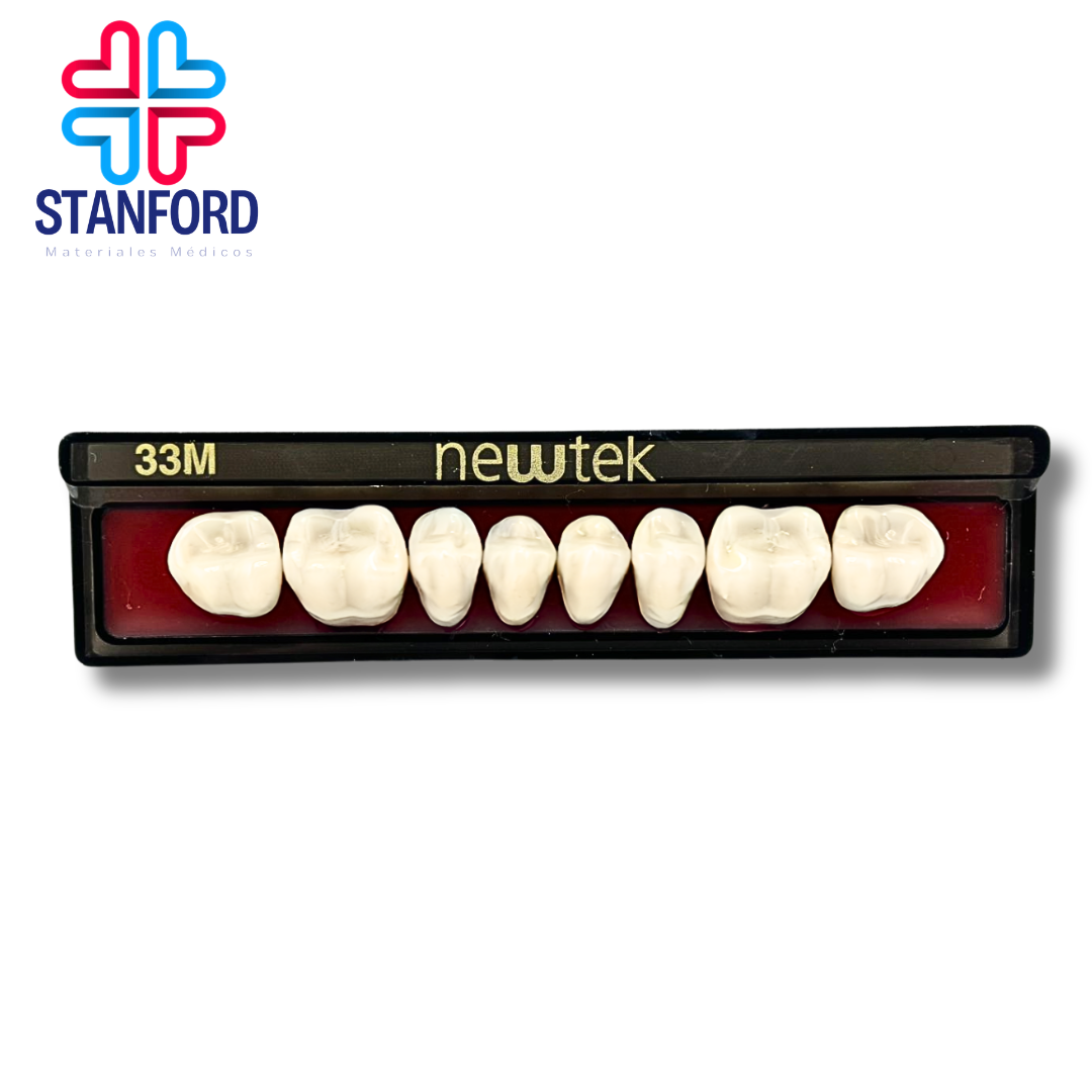 DIENTE MOLAR 33M INFERIOR