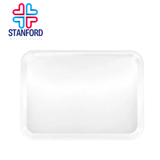 CHAROLA PARA INSTRUMENTAL LISA CH 25x17cm