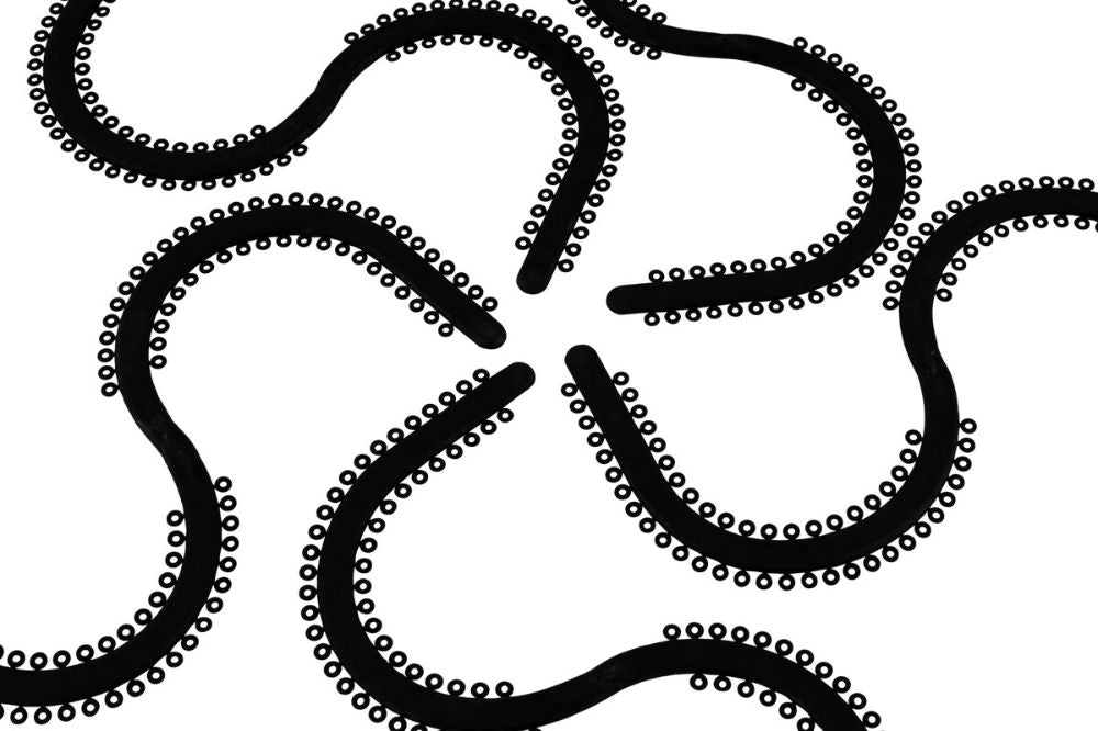 MODULO EN S