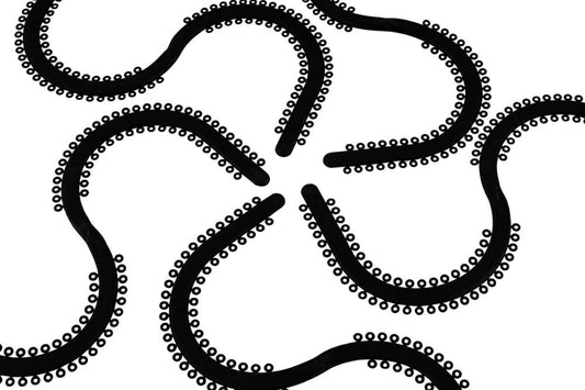 MODULO EN S