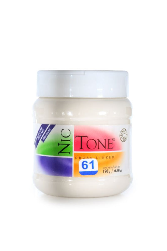 ACRILICO NORMAL NICTONE 61 190GR